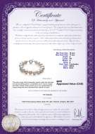 product certificate: FW-W-A-1011-B