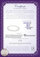 product certificate: FW-W-A-67-N-Atina