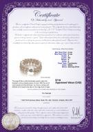 product certificate: FW-W-A-89-B-DBL