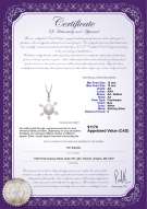 product certificate: FW-W-AA-1213-P-Besty