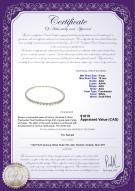 product certificate: FW-W-AA-510-N