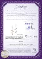 product certificate: FW-W-AA-67-E-Mickey