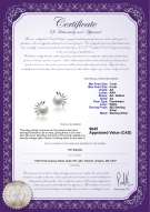 product certificate: FW-W-AA-78-E-Marissa