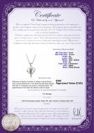 product certificate: FW-W-AA-910-P-Leeza