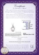 product certificate: FW-W-AAA-1011-P-Bebra