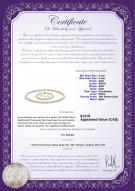product certificate: FW-W-AAA-556-S