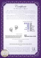 product certificate: FW-W-AAA-56-E-Dolphin