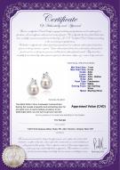 product certificate: FW-W-AAA-78-E-Bikita