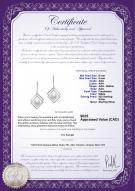 product certificate: FW-W-AAA-89-E-Lilian