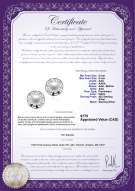 product certificate: FW-W-AAA-89-E-Noah