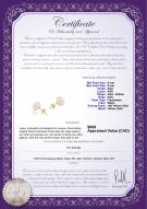 product certificate: FW-W-AAA-89-E