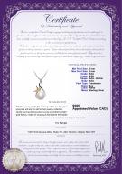 product certificate: FW-W-AAA-89-P-Hester