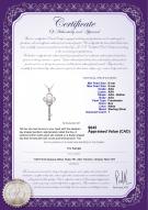 product certificate: FW-W-AAA-89-P-Key