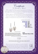 product certificate: FW-W-AAA-910-E-Melinda