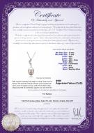 product certificate: FW-W-AAA-910-P-Deborah
