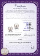 product certificate: FW-W-AAAA-1011-E-Berry