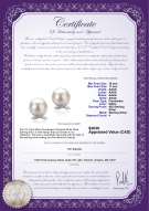 Product certificate: FW-W-AAAA-1011-E-Berry