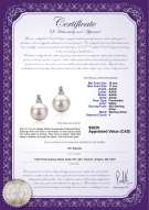 product certificate: FW-W-AAAA-1011-E-Hailey