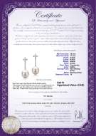 product certificate: FW-W-AAAA-1011-E-Raquel