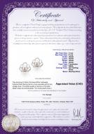 product certificate: FW-W-AAAA-556-E-Princess