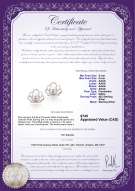 product certificate: FW-W-AAAA-556-E-Princess