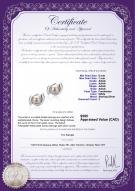product certificate: FW-W-AAAA-67-E-Zorina
