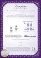 product certificate: FW-W-AAAA-78-E-Star