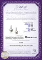 product certificate: FW-W-AAAA-78-E-Valery