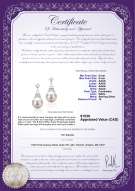 product certificate: FW-W-AAAA-89-E-Eiffer-Tower