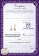 product certificate: FW-W-AAAA-89-E-Sparkle