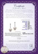 product certificate: FW-W-AAAA-910-E-Ariel