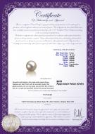 product certificate: FW-W-AAAA-910-L1