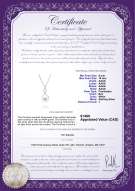 product certificate: FW-W-AAAA-910-P-Courtney