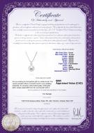 product certificate: FW-W-AAAA-910-P-Lauren