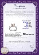 product certificate: FW-W-AAAA-910-R-Zana