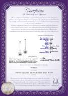 product certificate: JAK-B-AA-67-E-Paula