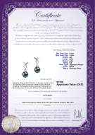 Product certificate: JAK-B-AA-67-E-Riley