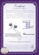 product certificate: JAK-B-AA-67-E-Rosie