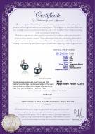 product certificate: JAK-B-AA-67-E-Sydney