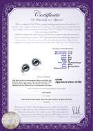 product certificate: JAK-B-AA-78-E-Angelina