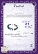 product certificate: JAK-B-AA-89-B