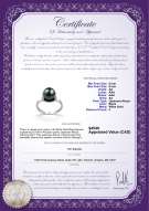 Product certificate: JAK-B-AA-89-R-Sarah