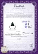 product certificate: JAK-B-AA-89-R-Sarah