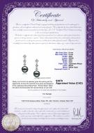 product certificate: JAK-B-AAA-89-E-Rozene