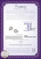 product certificate: JAK-W-AA-78-E-Angelina