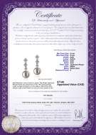 product certificate: JAK-W-AAA-89-E-Rozene