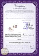 product certificate: P-67-E-OLAV