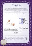 product certificate: P-910-E