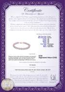 product certificate: P-AA-67-B-OLAV