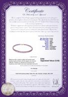product certificate: P-AAA-67-N-Olav